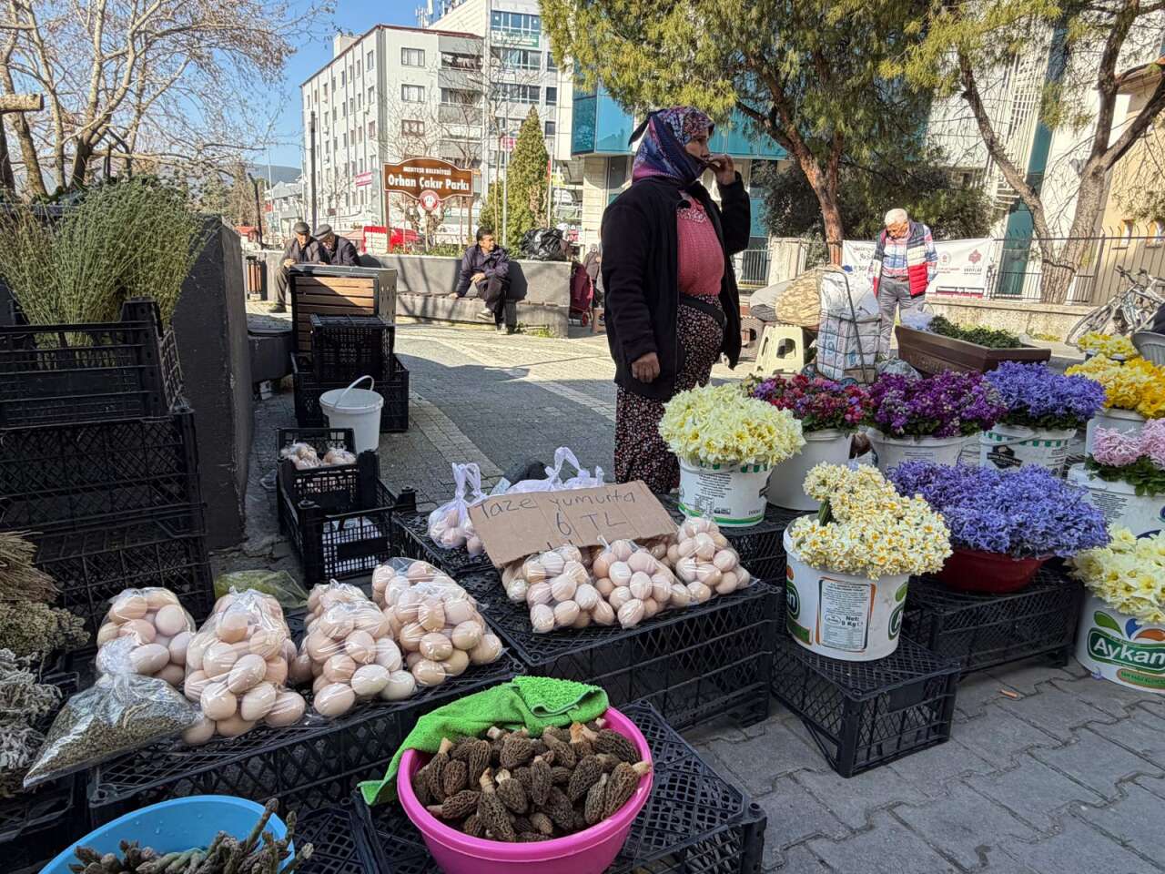 Kuzugöbeğinin Fiyatı Gram Altınla Yarışıyor 1